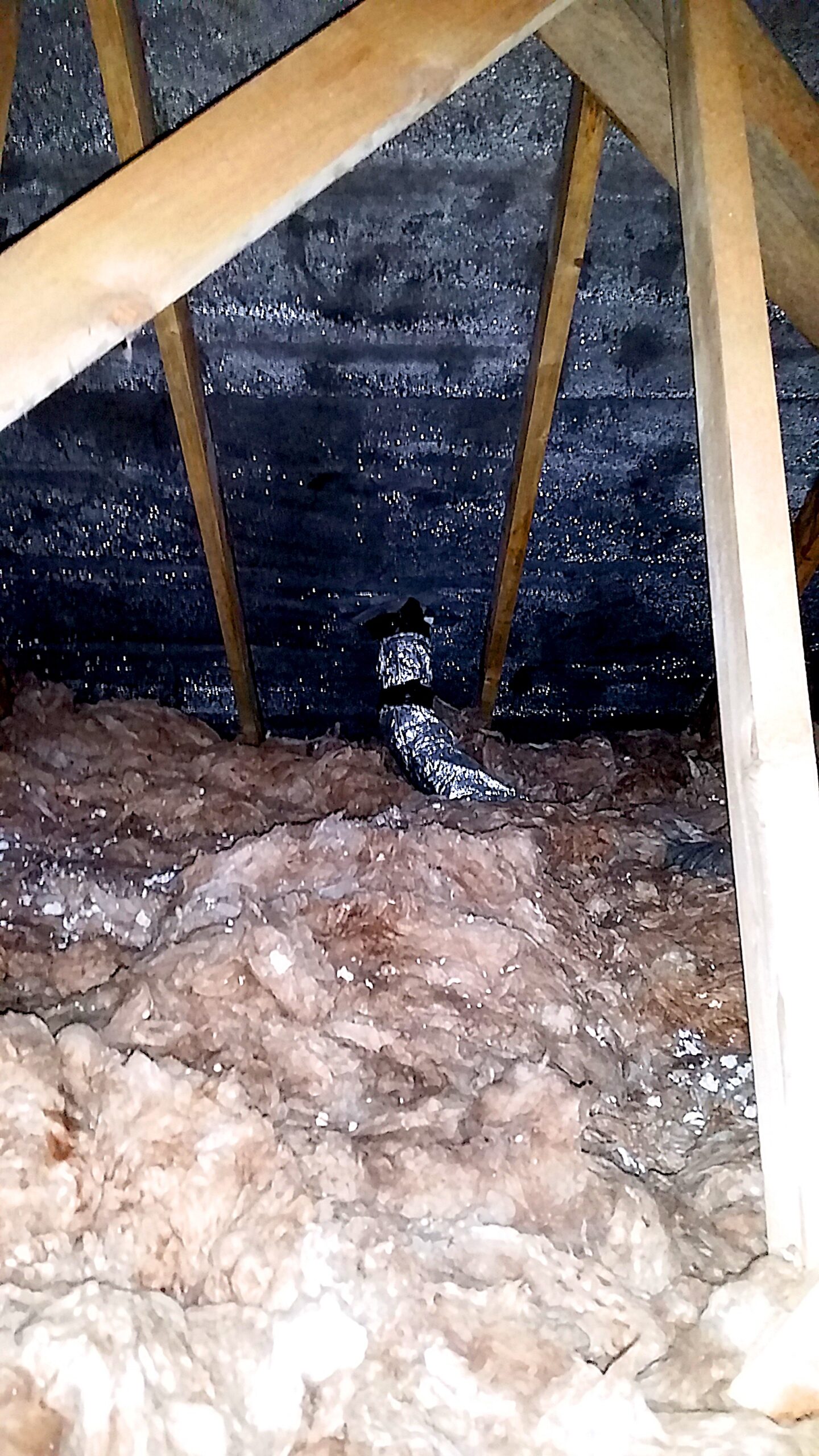 Image of condensation due to poor roof ventilation