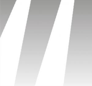 Direct-Light-300×282