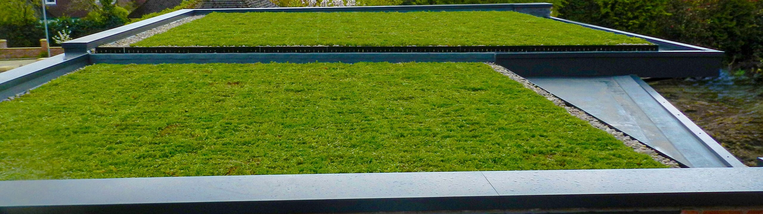 Cheshire_Green-roof-_EDITS-scaled